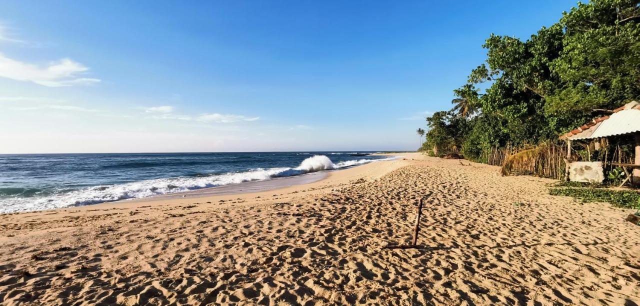 ホテル Surf Sea Breeze ミリッサ エクステリア 写真